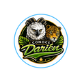 CONOCE DARIEN     130,690 Seguidores