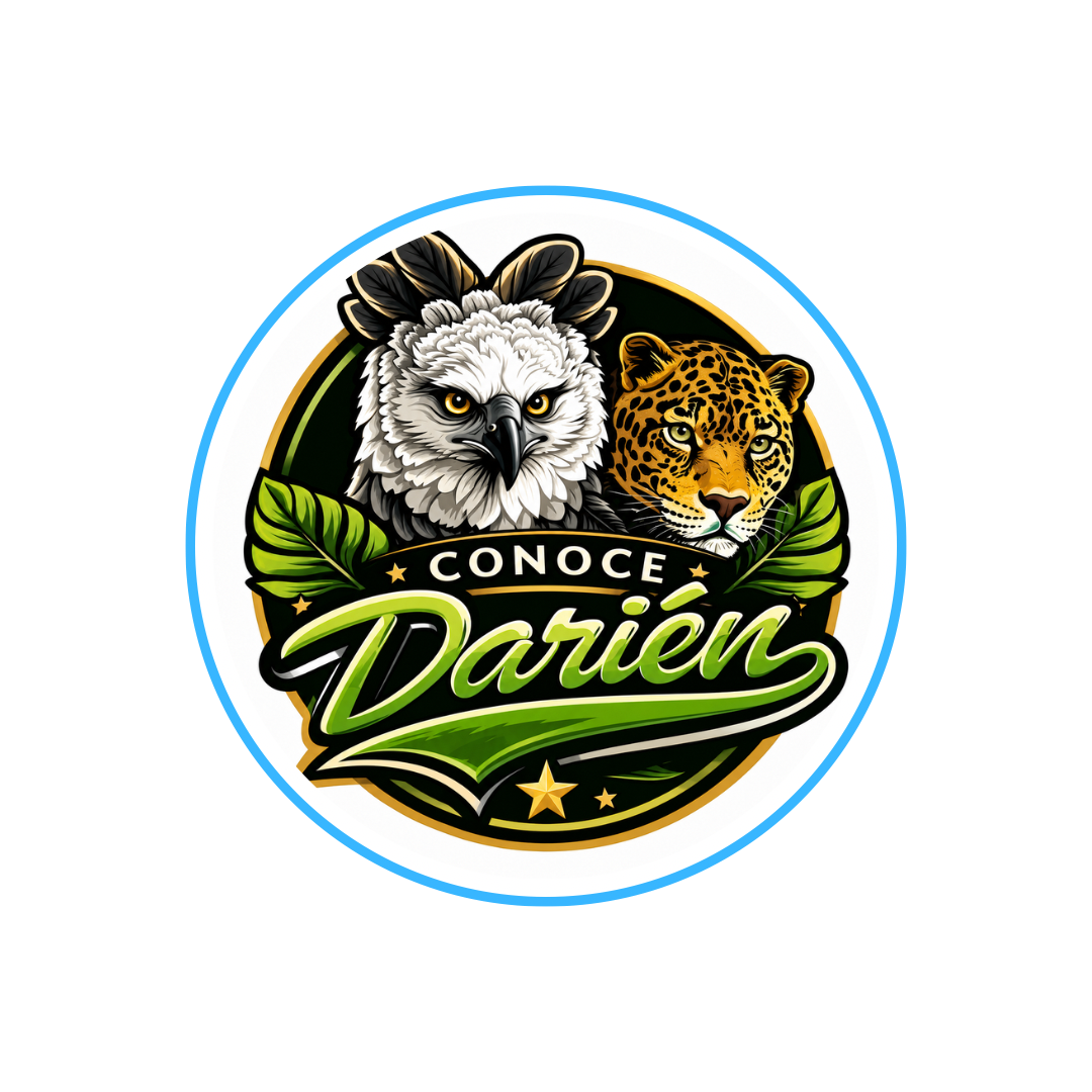 CONOCE DARIEN     130,690 Seguidores